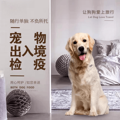 文昌市宠物托运到哥伦比亚猫狗宠物入境规定和