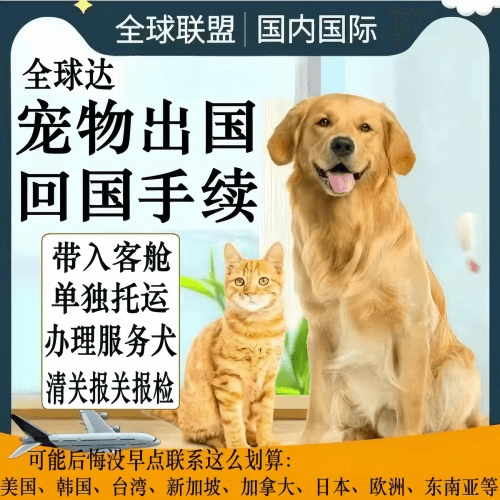 文昌市宠物托运到柬埔寨宠物入境规定和要求
