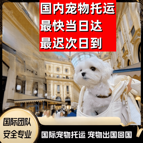 文昌市到澳大利亚（澳洲）宠物入境规定和要求
