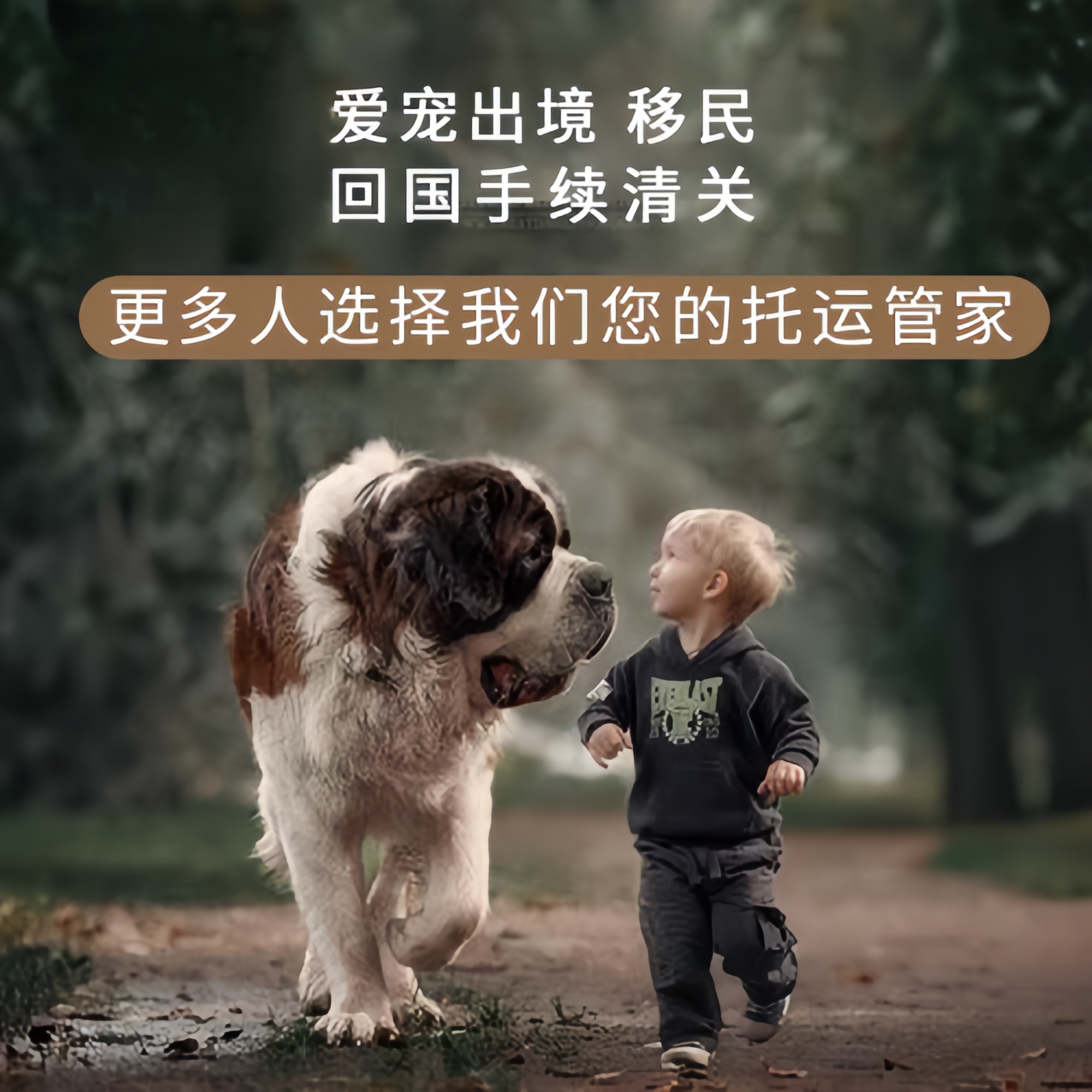 满财文昌市宠物全球达宠物托运在遵守入境目的地政策的条件