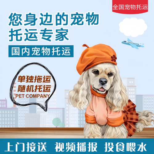 满财文昌市宠物全球达宠物托运作为专业的宠物运输代理机构